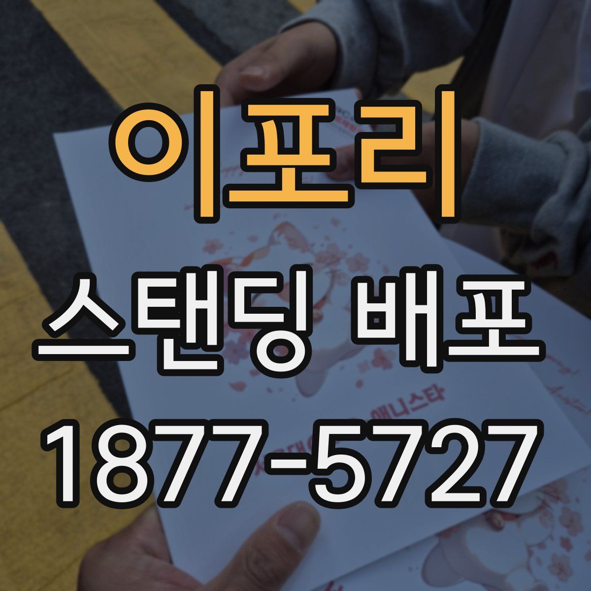 이포리 스탠딩 배포