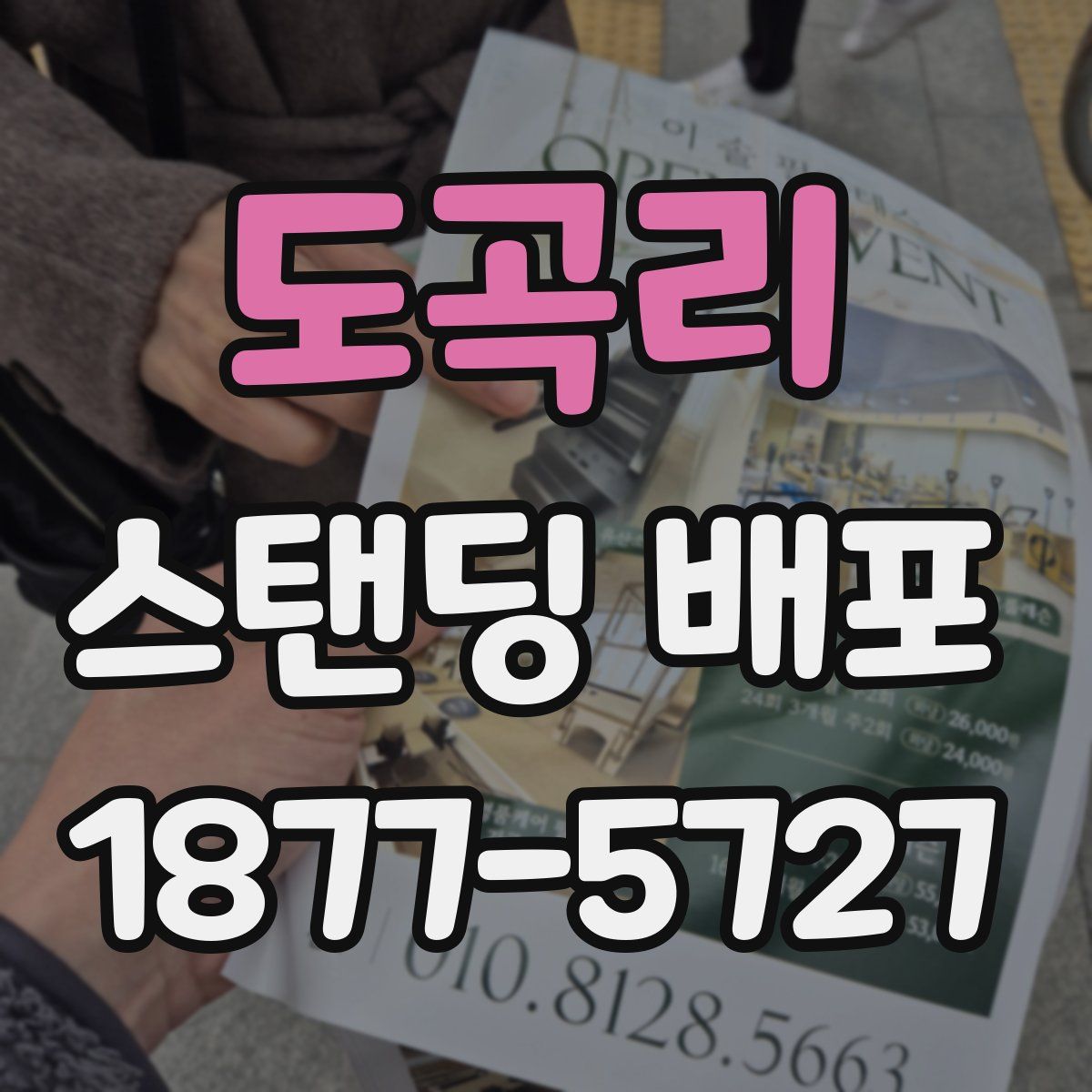 도곡리 스탠딩 배포