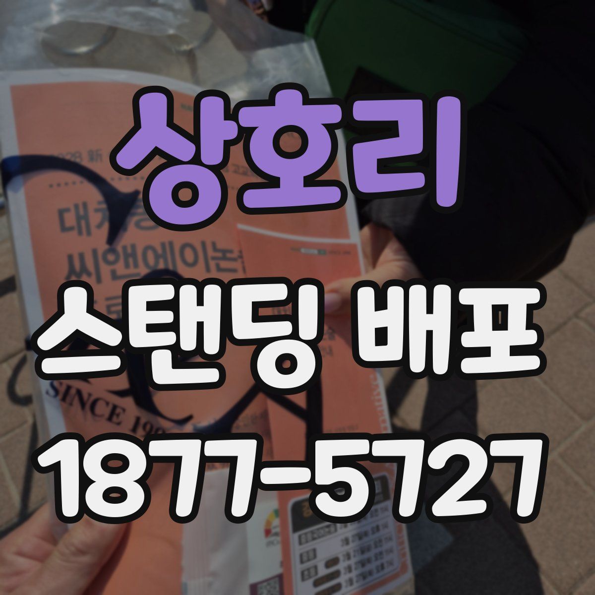 상호리 스탠딩 배포