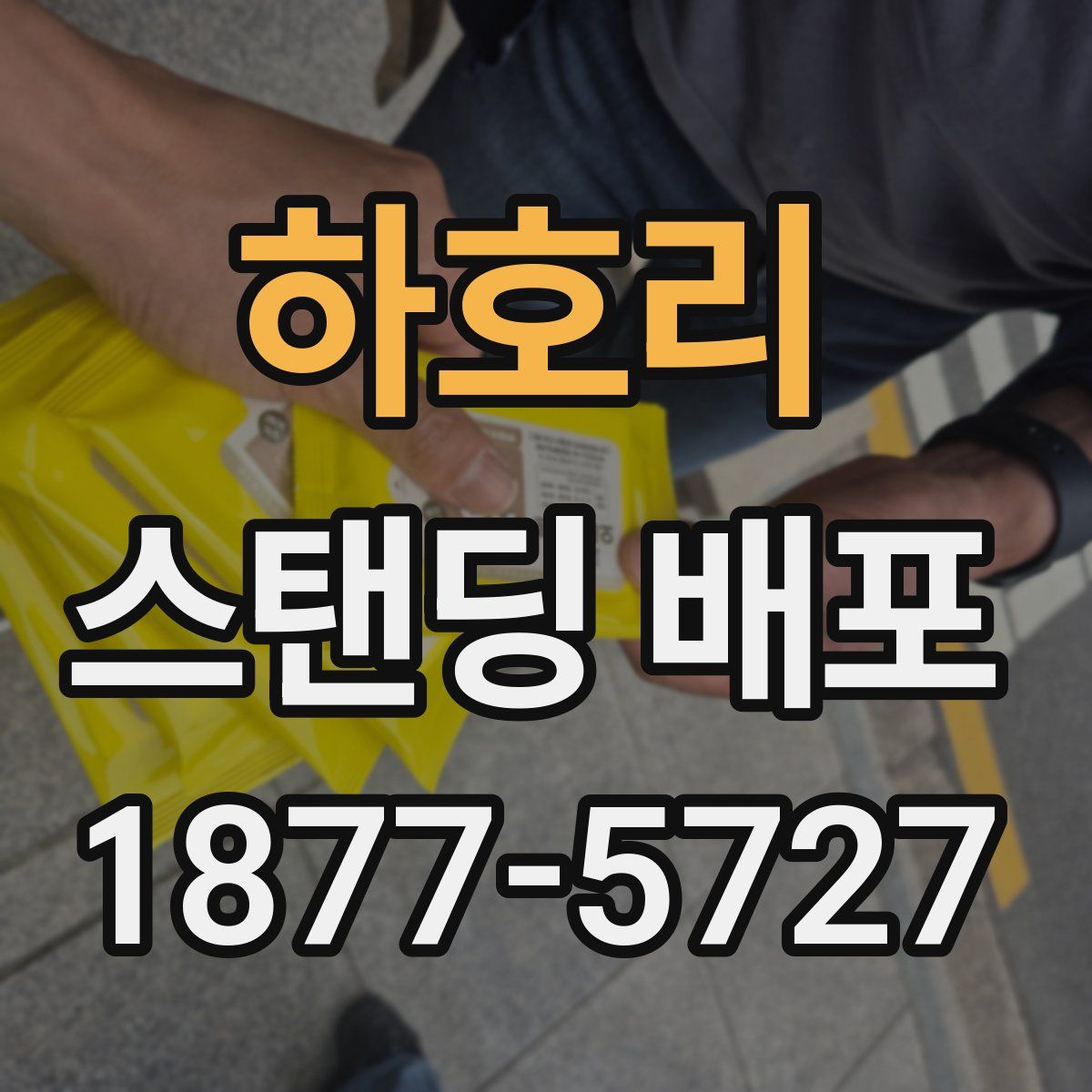하호리 스탠딩 배포