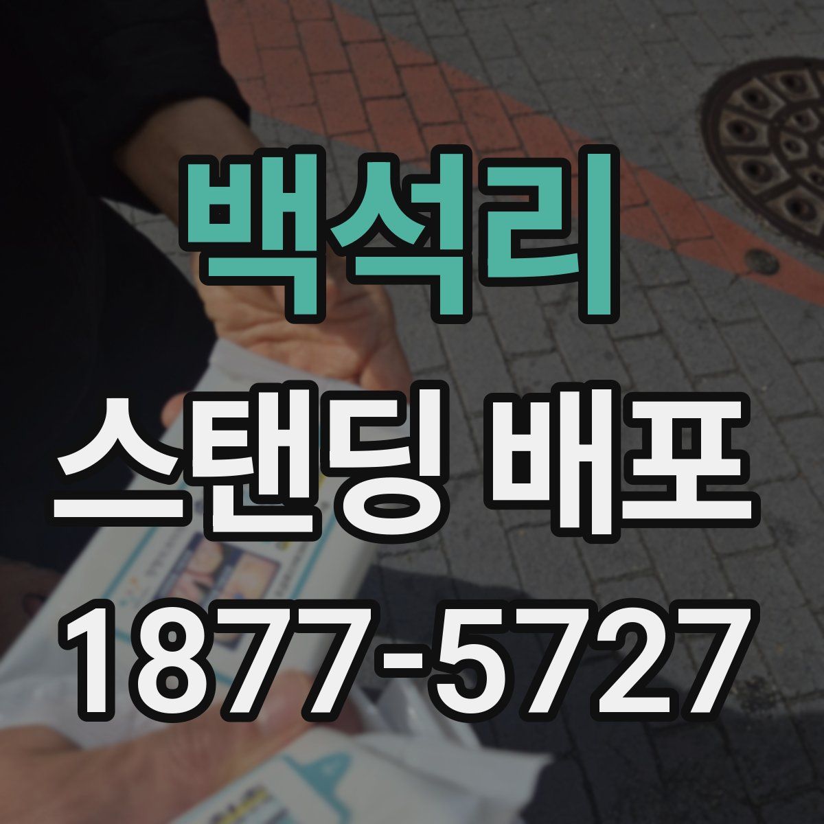 백석리 스탠딩 배포