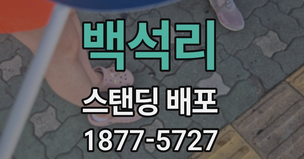 백석리 스탠딩 배포