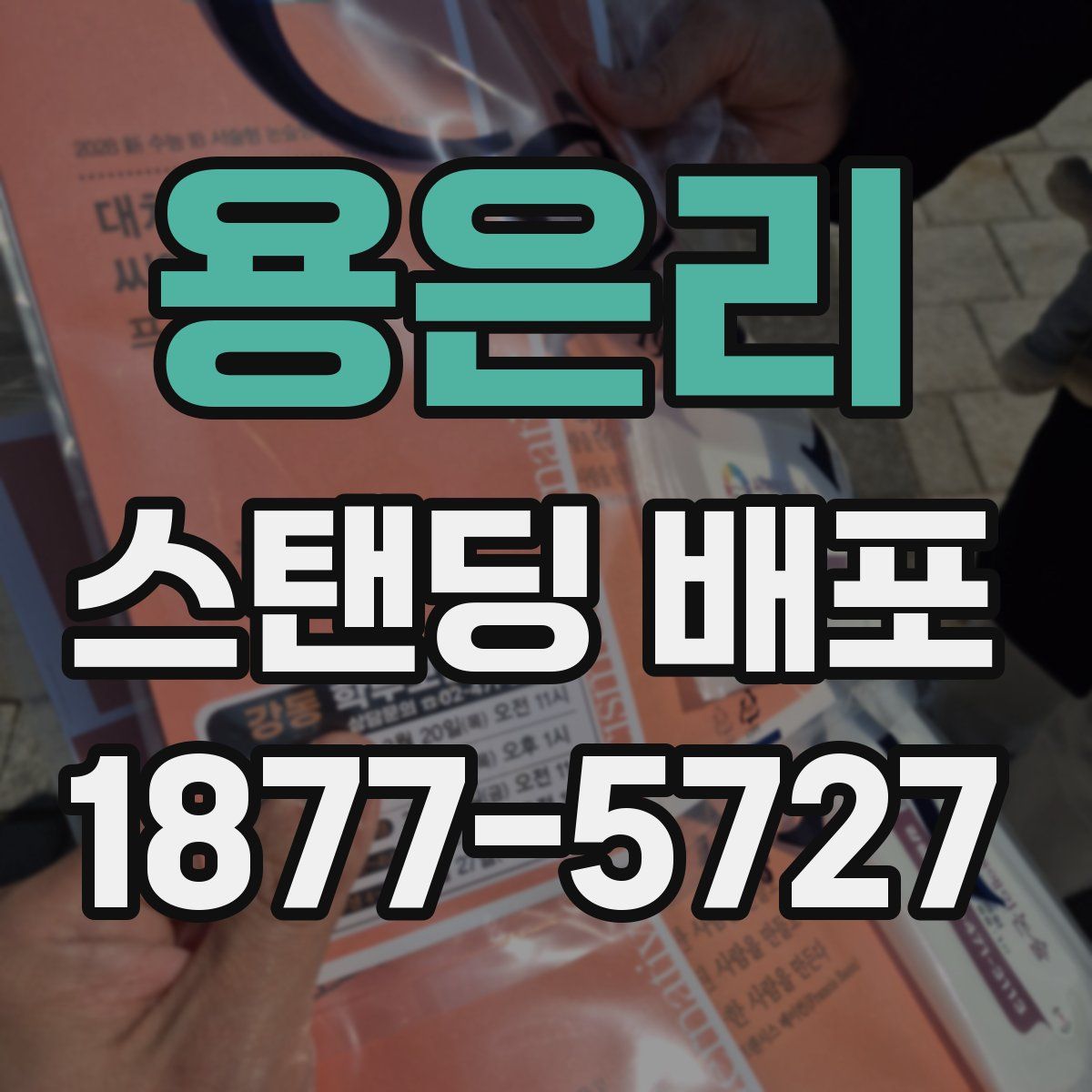 용은리 스탠딩 배포