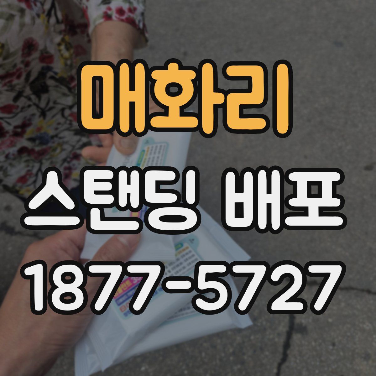 매화리 스탠딩 배포