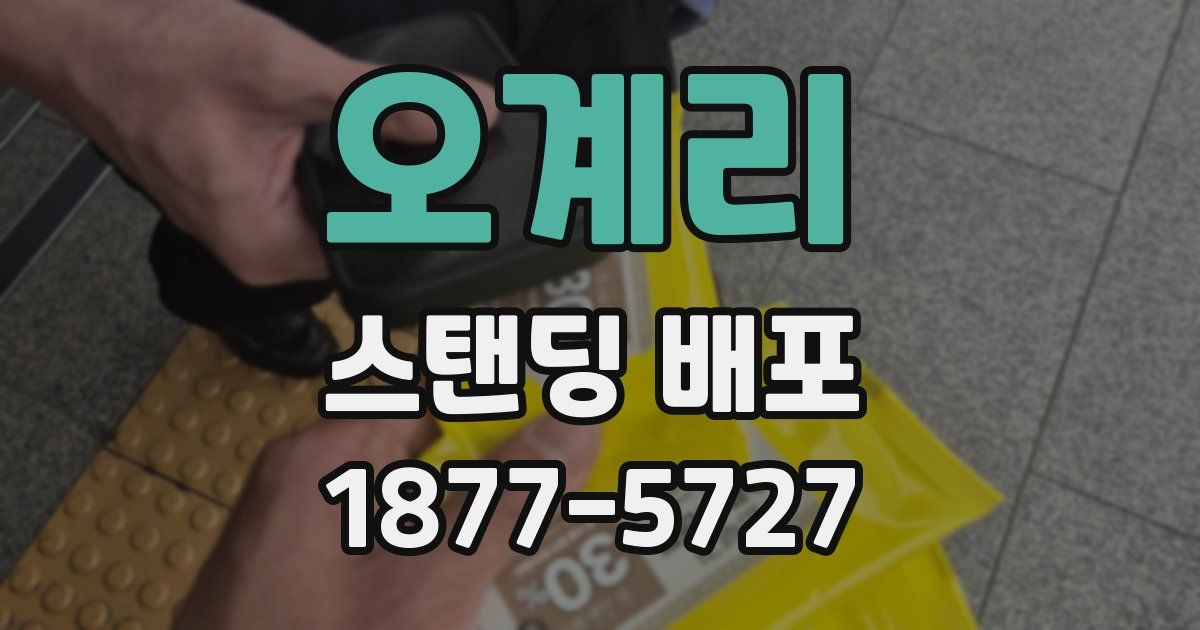 오계리 스탠딩 배포
