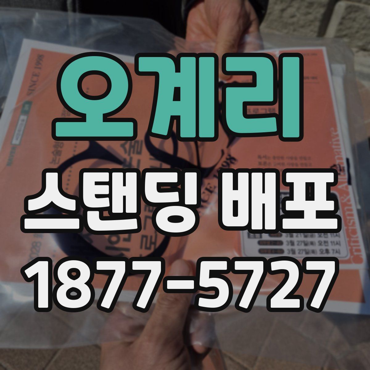 오계리 스탠딩 배포