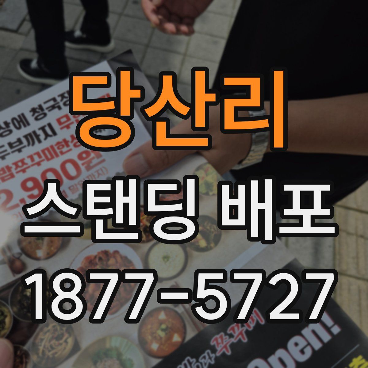 당산리 스탠딩 배포