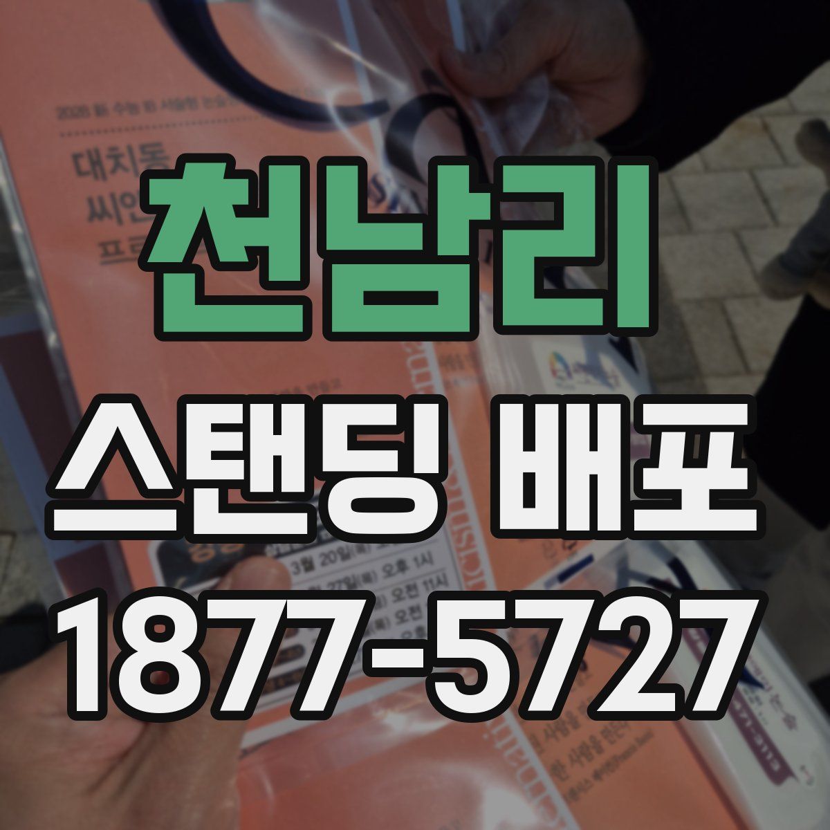 천남리 스탠딩 배포