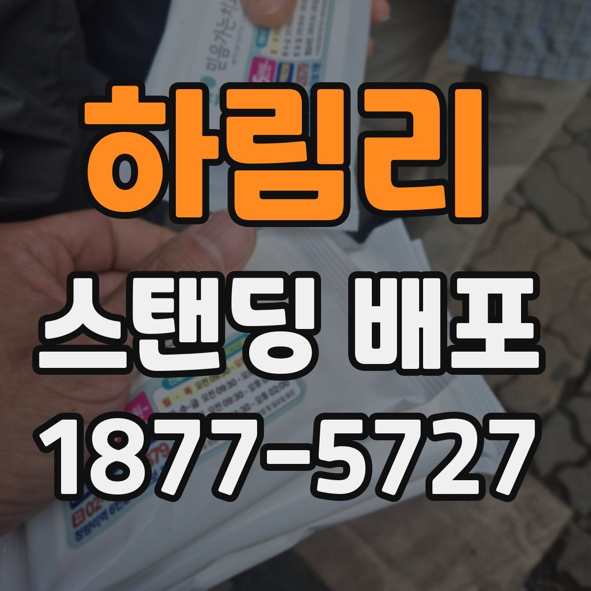 하림리 스탠딩 배포