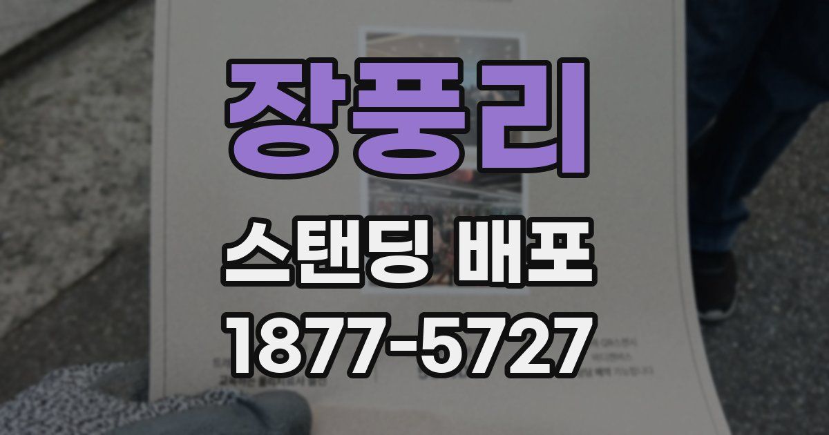 장풍리 스탠딩 배포