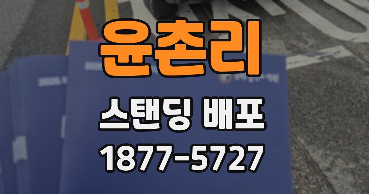 윤촌리 스탠딩 배포