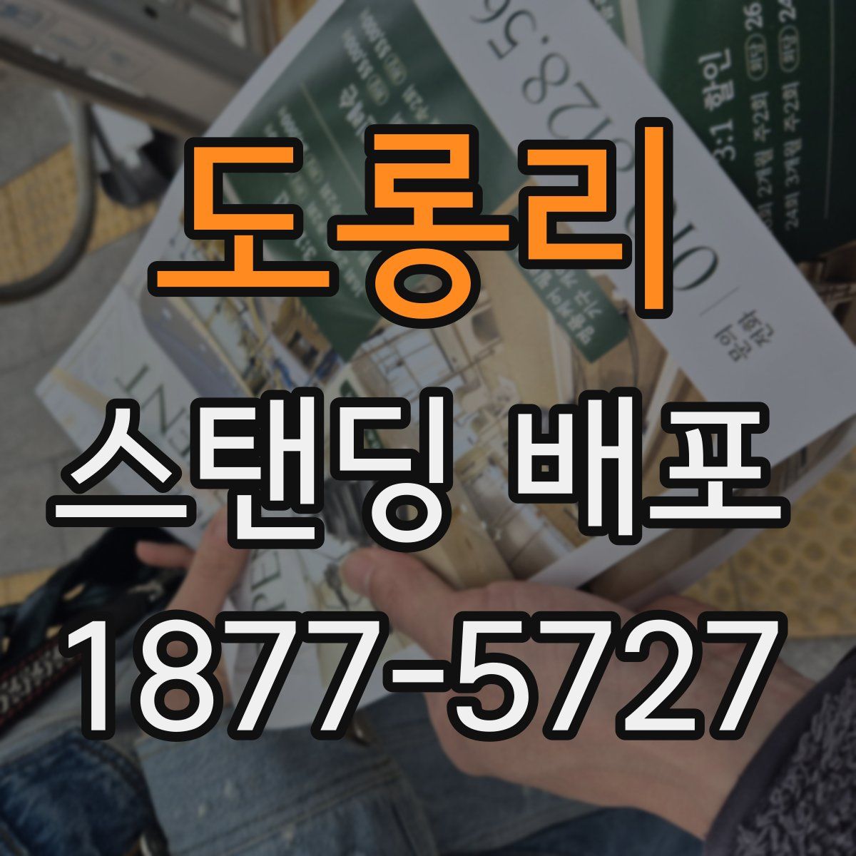 도롱리 스탠딩 배포