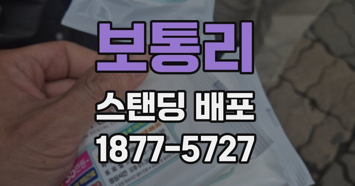 보통리 스탠딩 배포