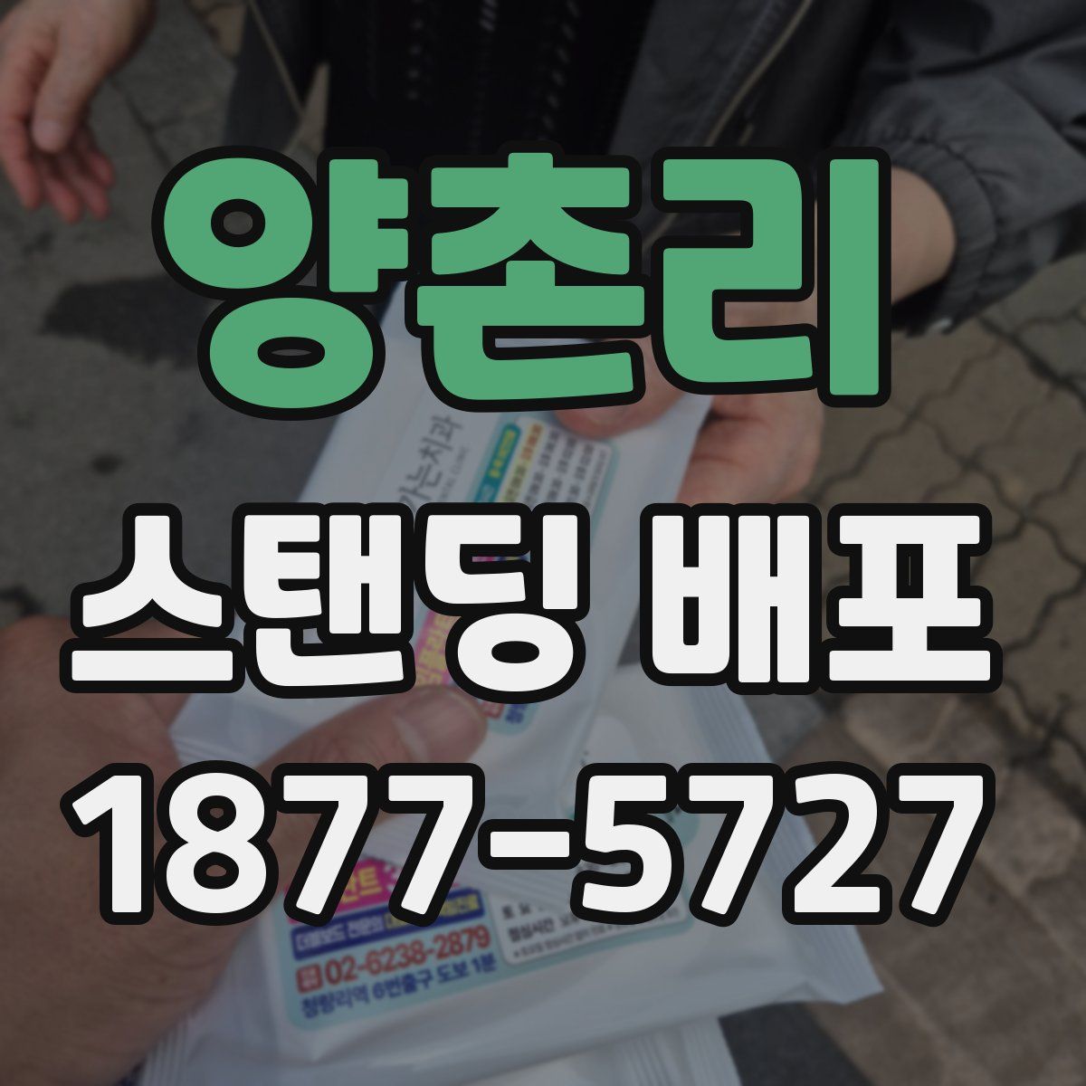 양촌리 스탠딩 배포