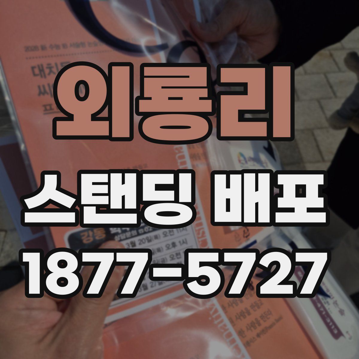 외룡리 스탠딩 배포