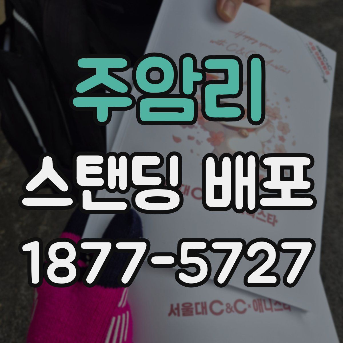 주암리 스탠딩 배포