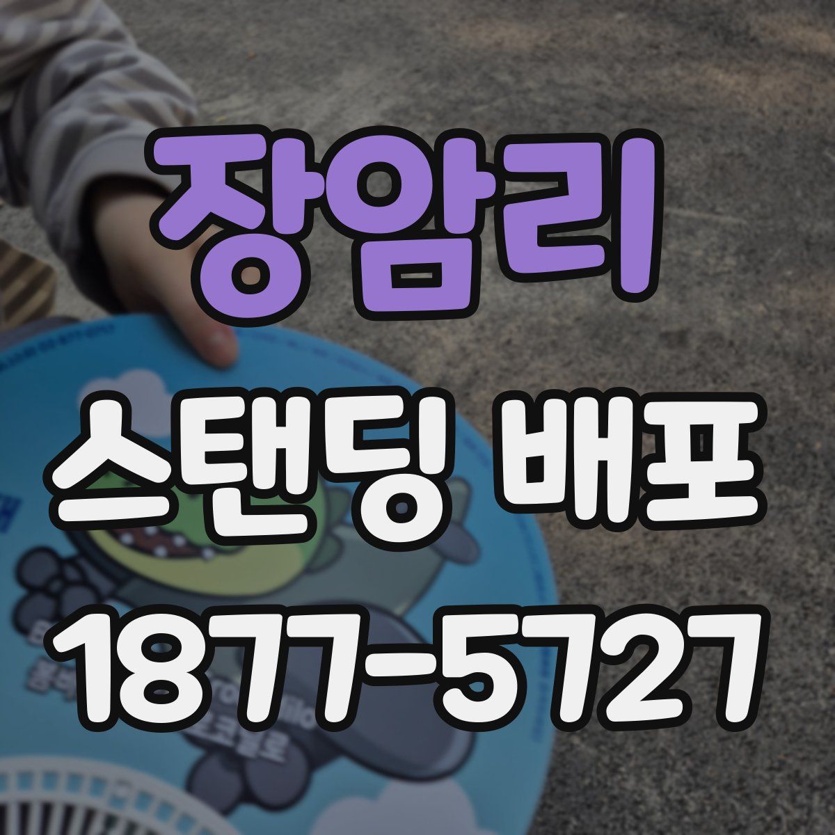 장암리 스탠딩 배포
