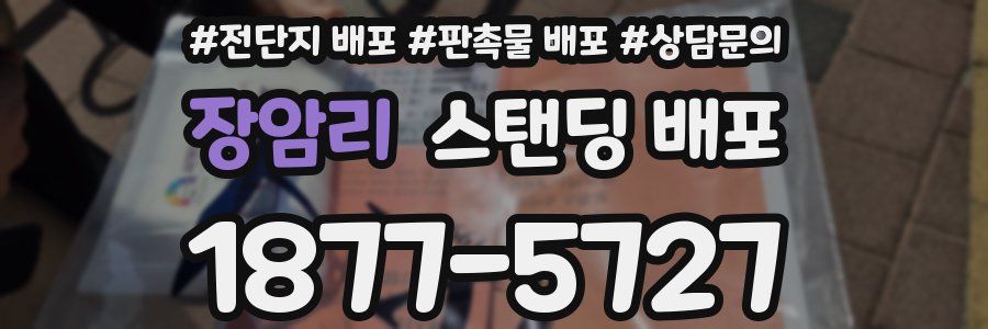 장암리 스탠딩 배포