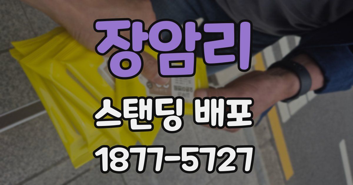 장암리 스탠딩 배포