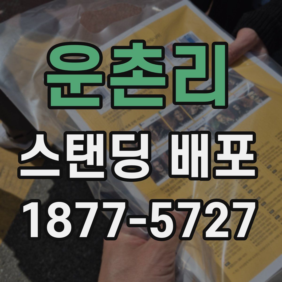 운촌리 스탠딩 배포