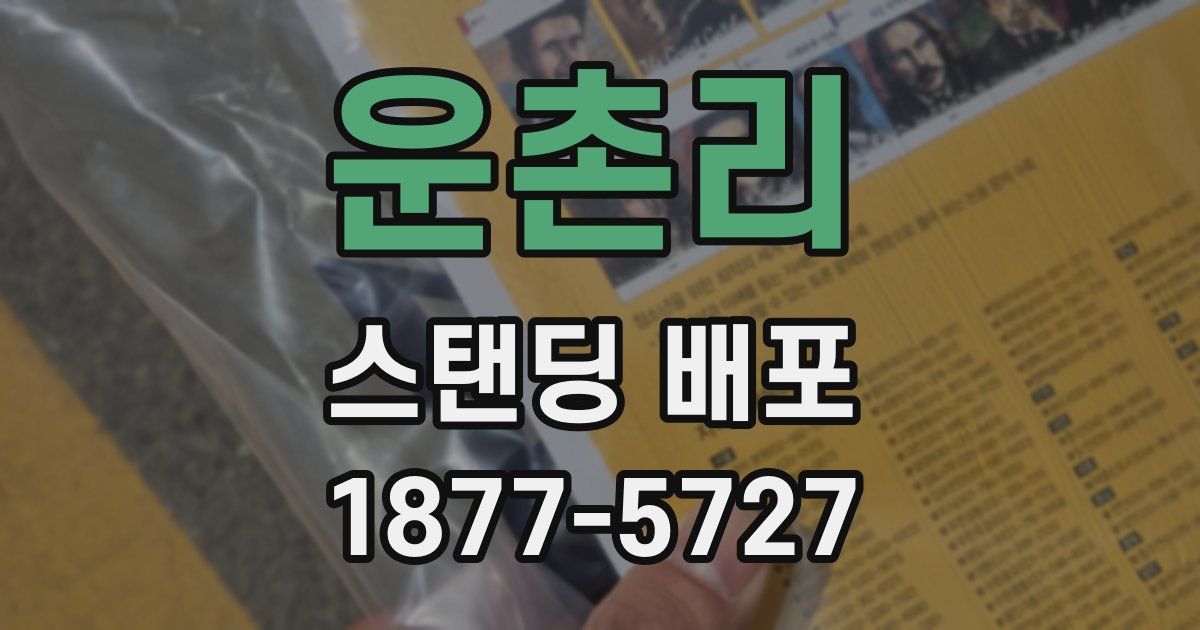 운촌리 스탠딩 배포