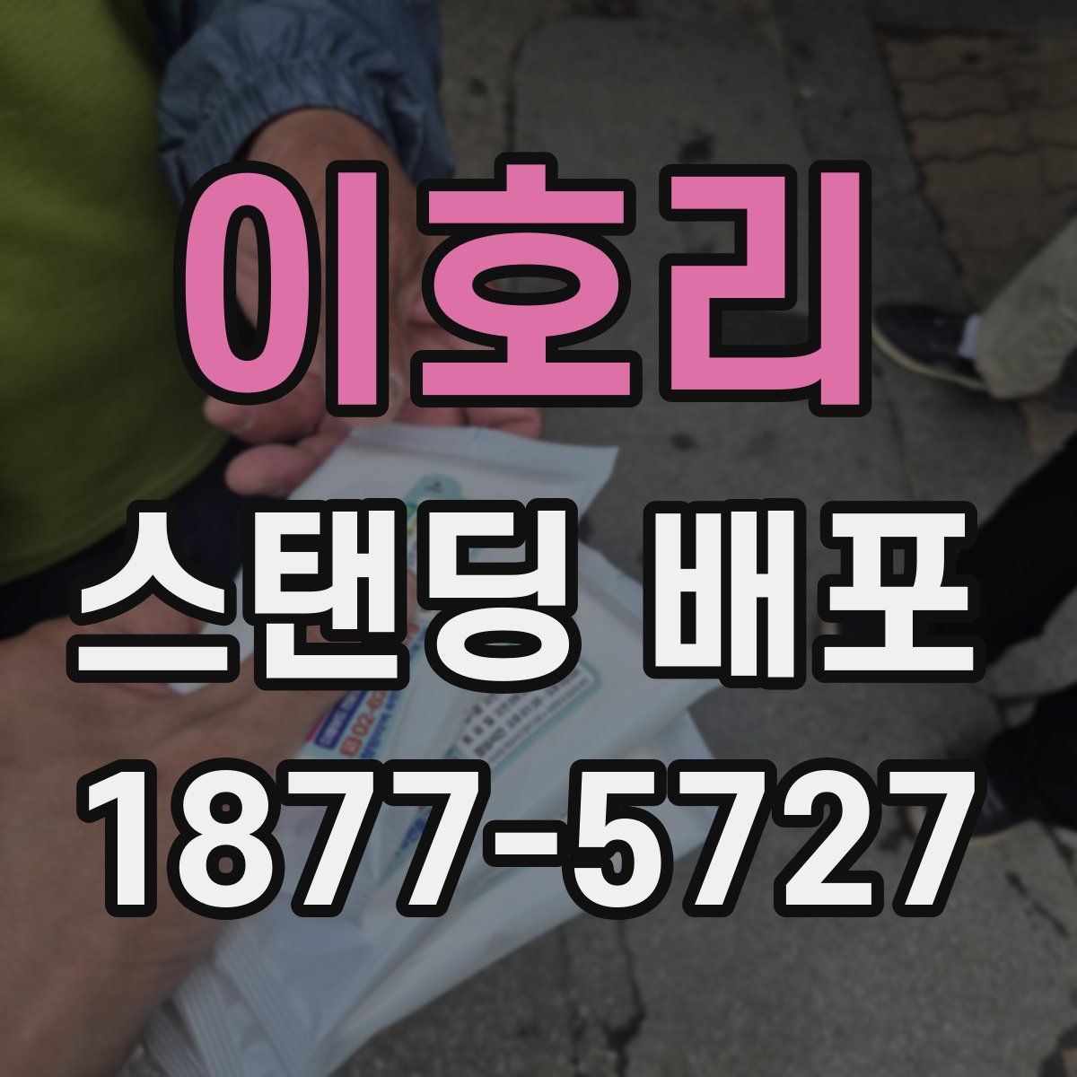 이호리 스탠딩 배포