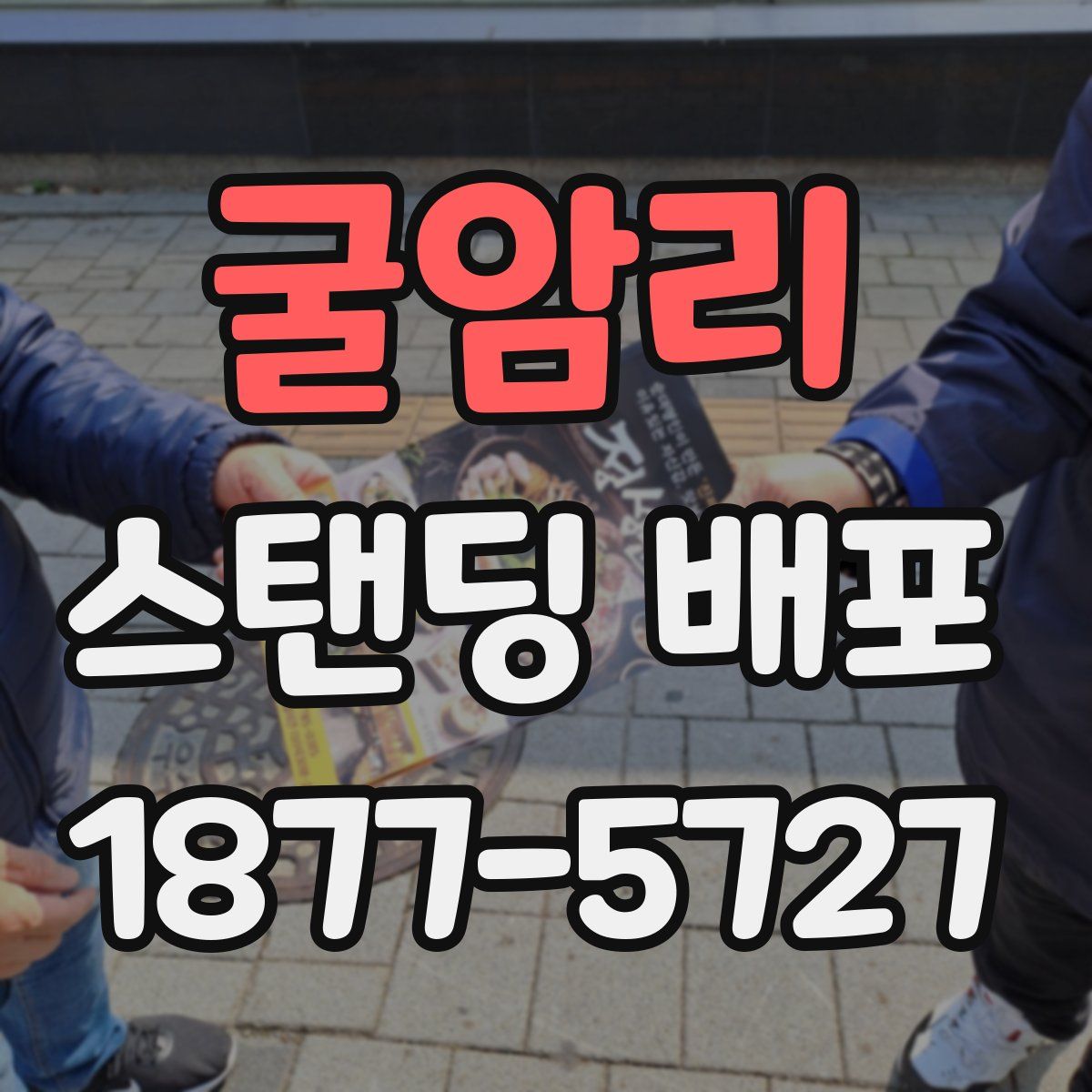 굴암리 스탠딩 배포