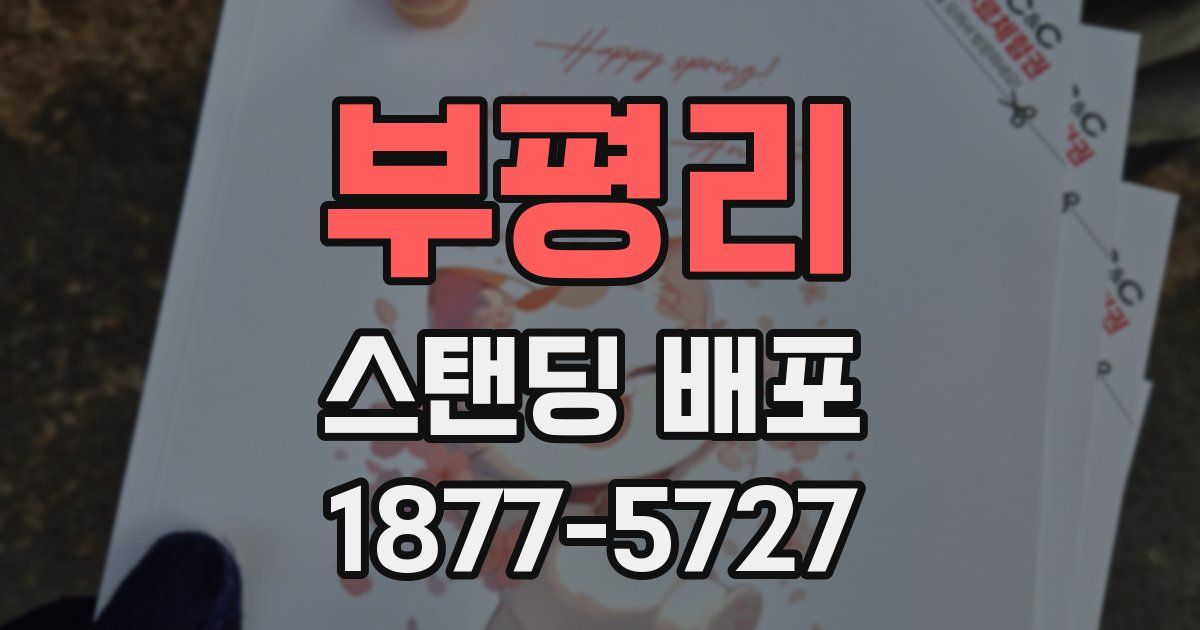 부평리 스탠딩 배포