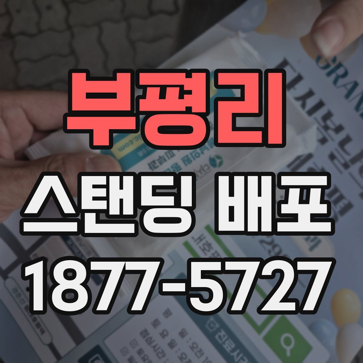 부평리 스탠딩 배포