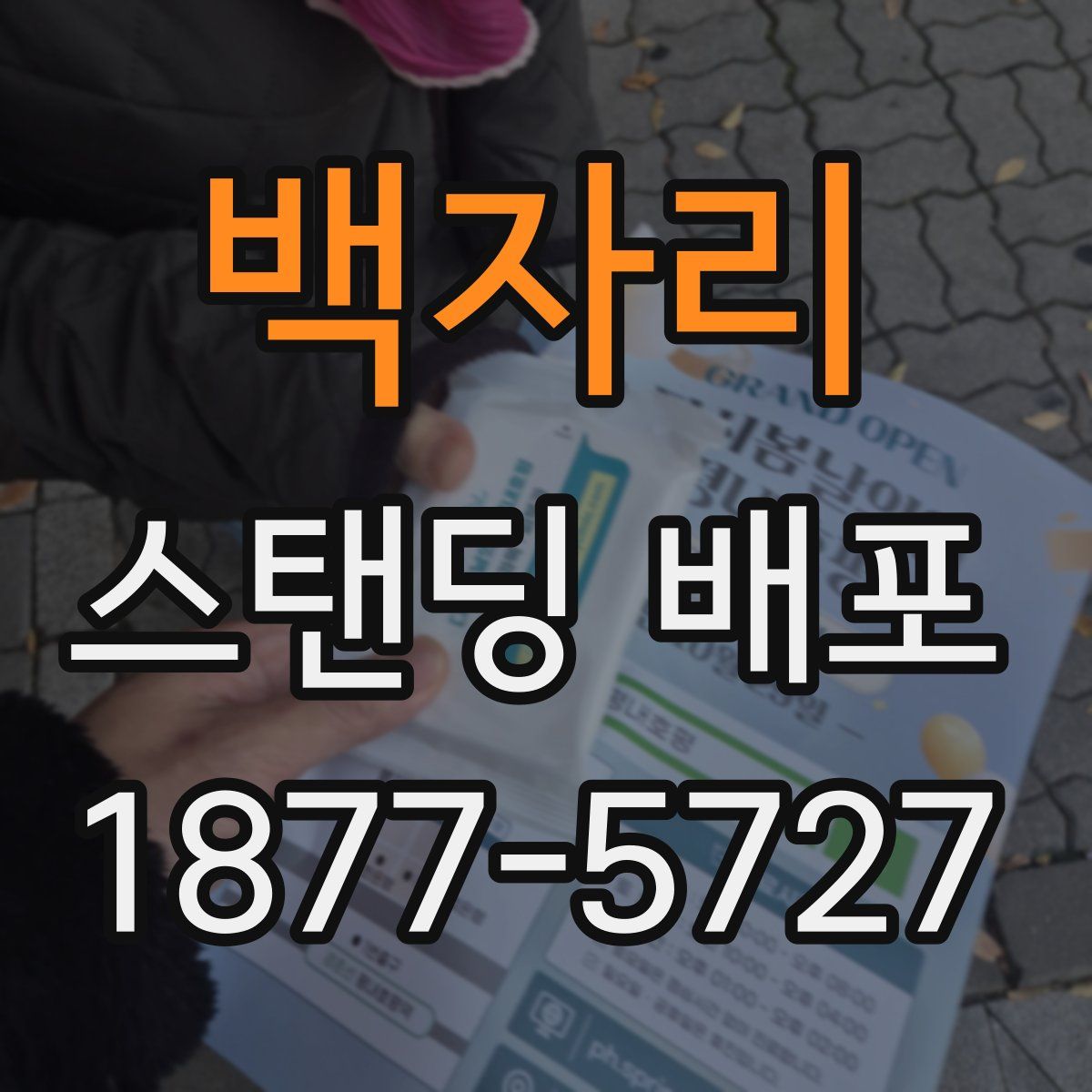 백자리 스탠딩 배포