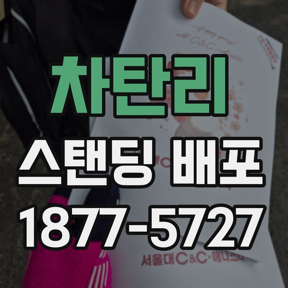 차탄리 스탠딩 배포