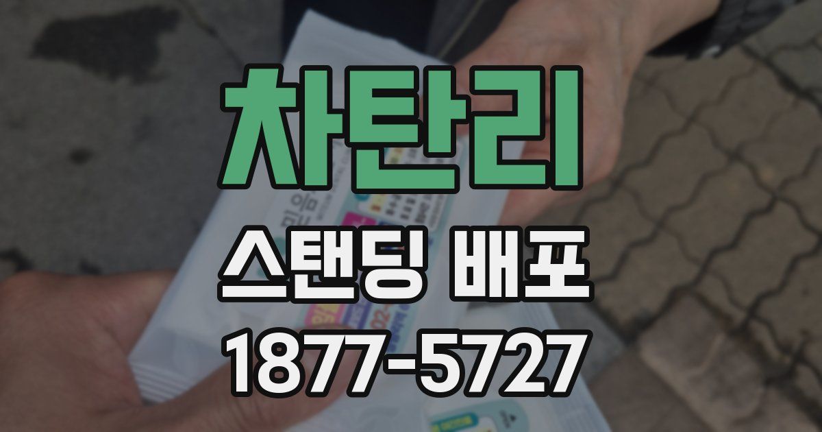 차탄리 스탠딩 배포