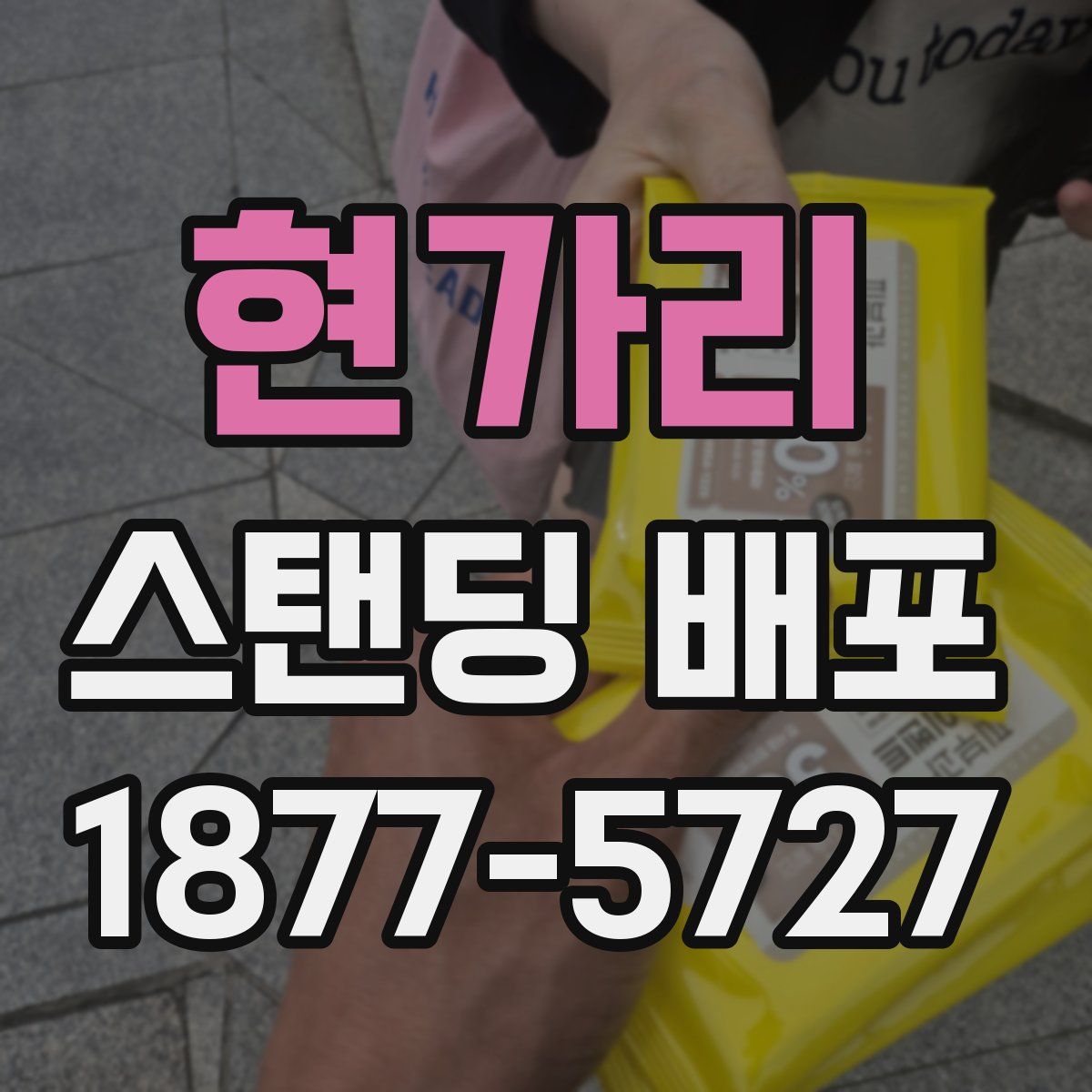 현가리 스탠딩 배포