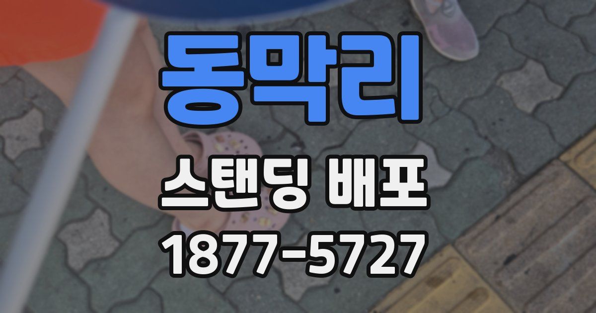 동막리 스탠딩 배포