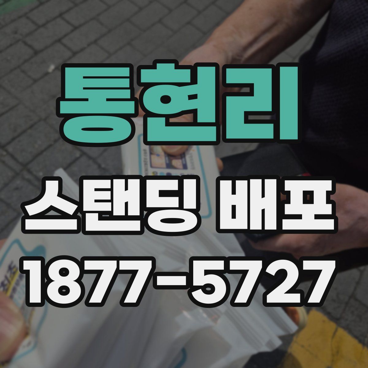 통현리 스탠딩 배포
