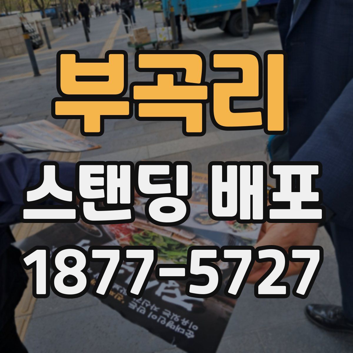 부곡리 스탠딩 배포