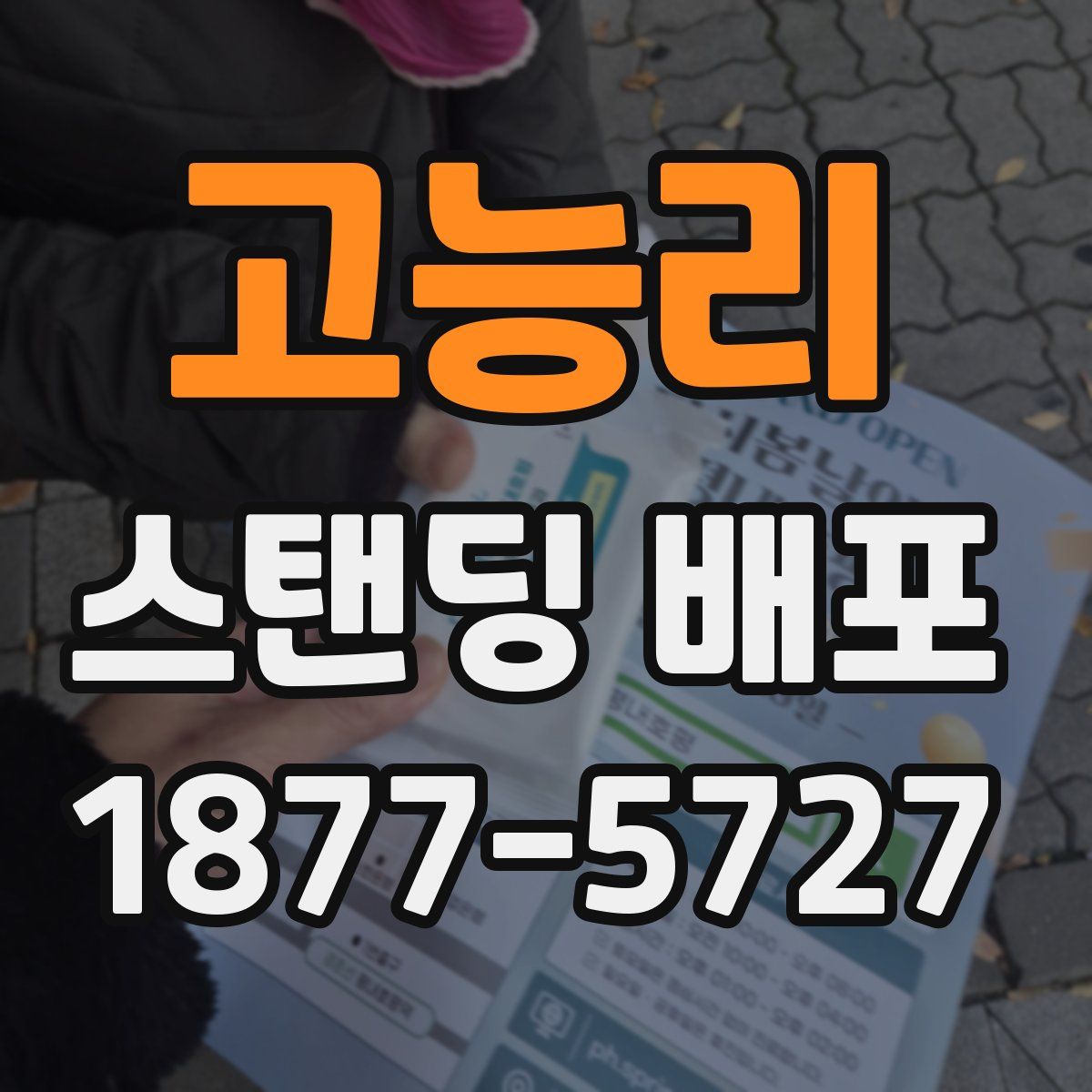 고능리 스탠딩 배포