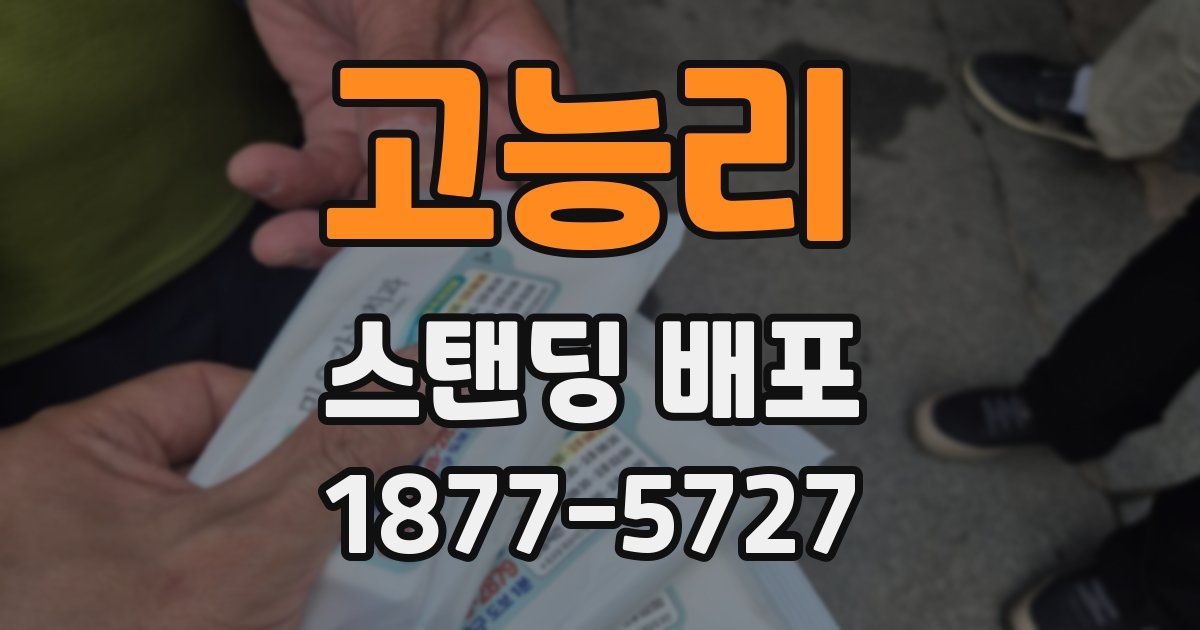 고능리 스탠딩 배포