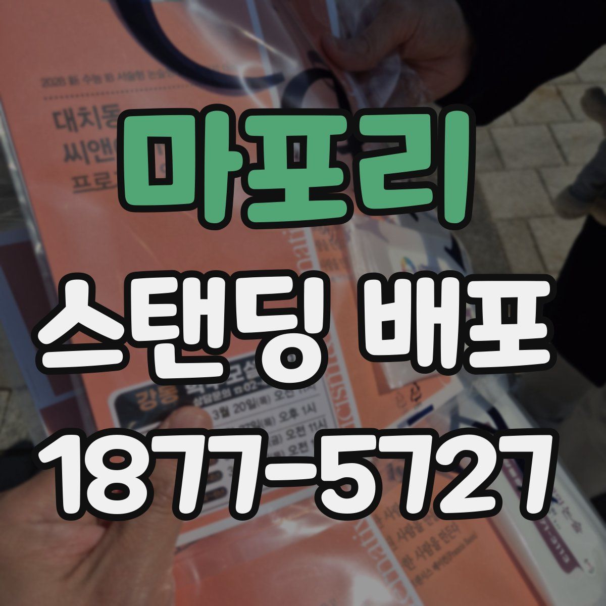 마포리 스탠딩 배포