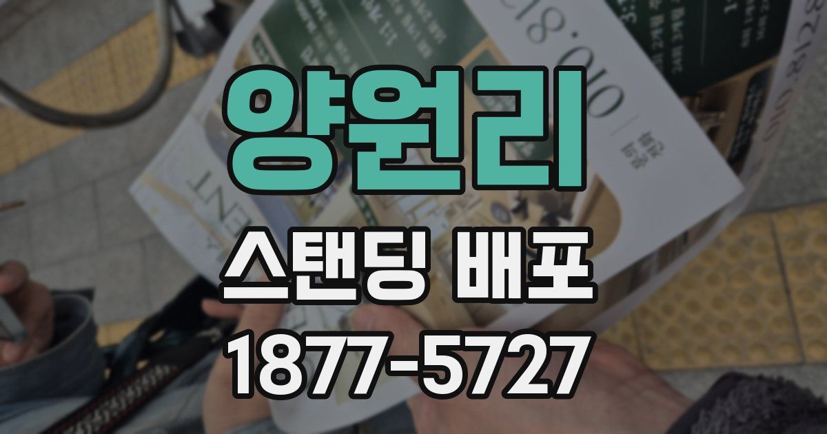 양원리 스탠딩 배포