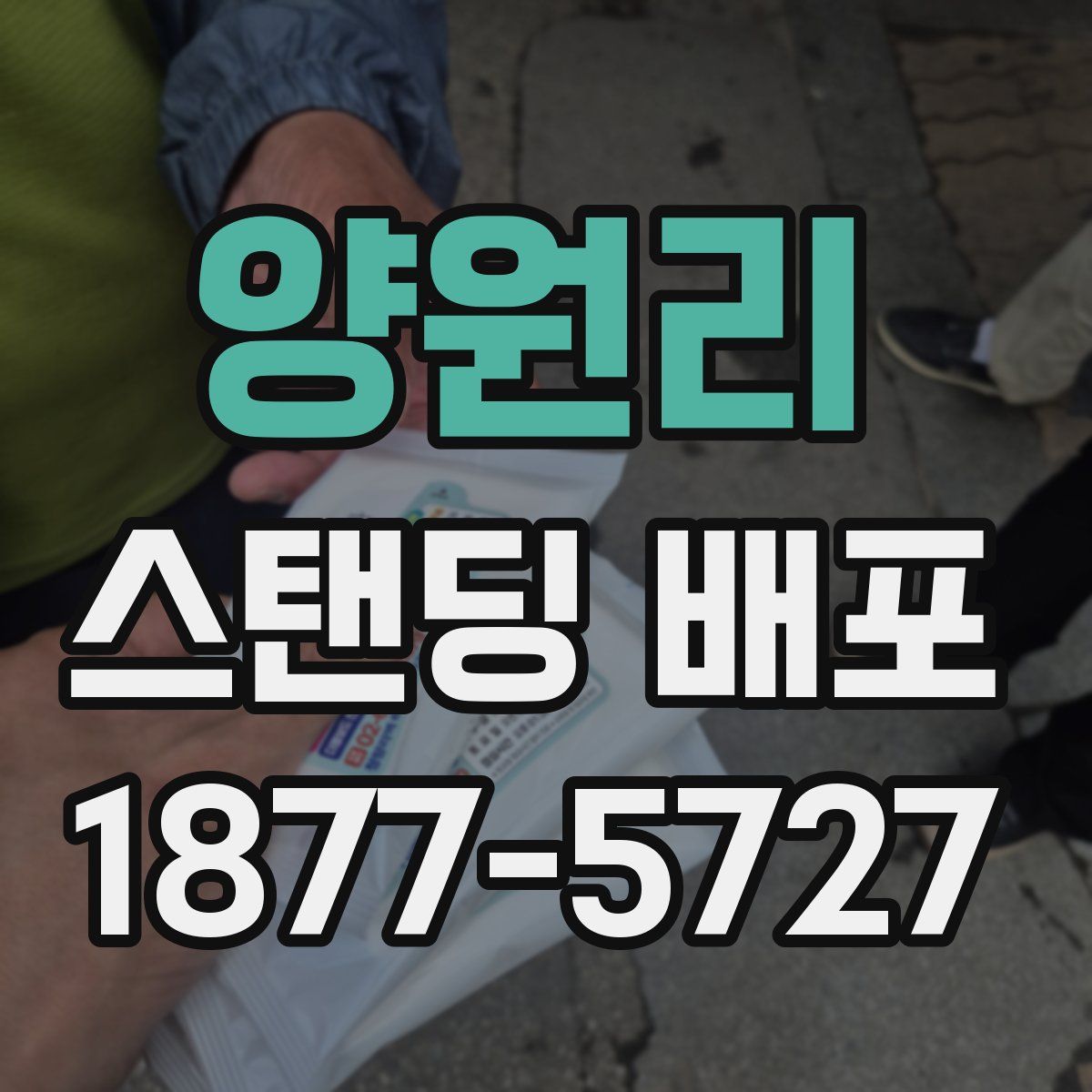 양원리 스탠딩 배포