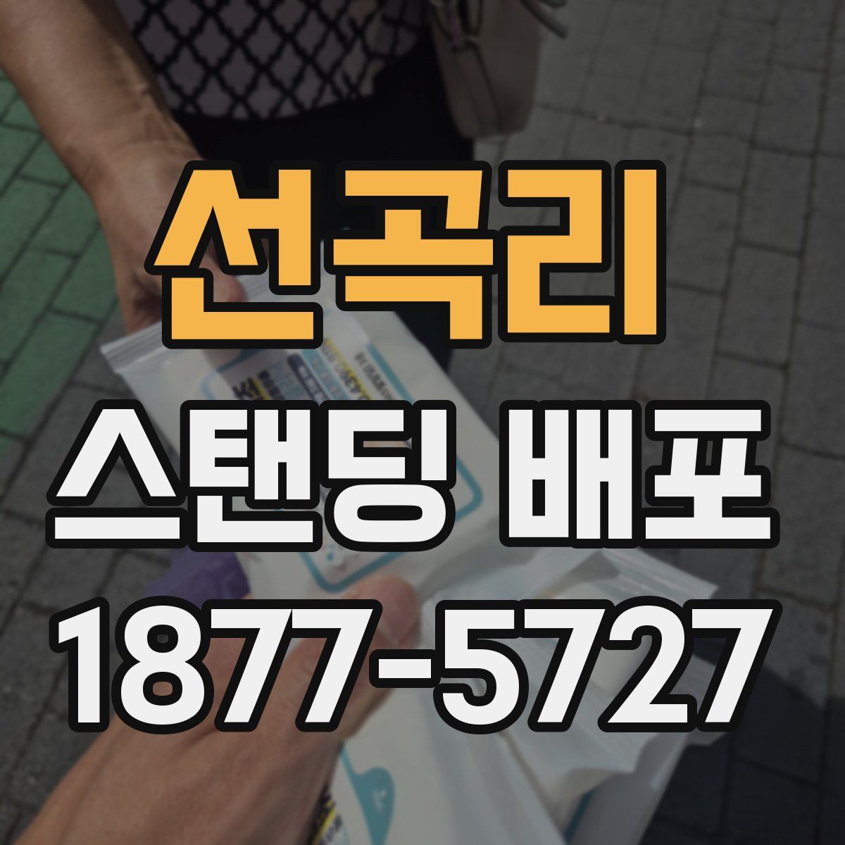 선곡리 스탠딩 배포