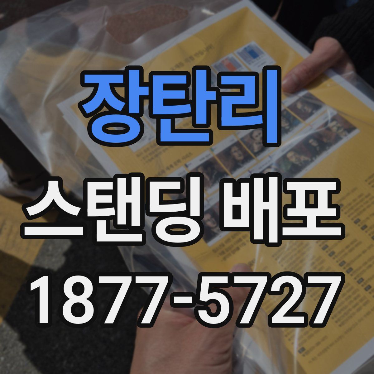 장탄리 스탠딩 배포