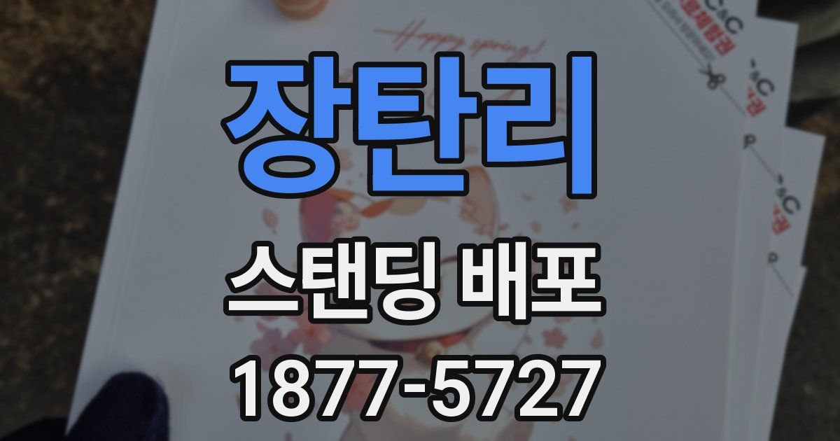 장탄리 스탠딩 배포