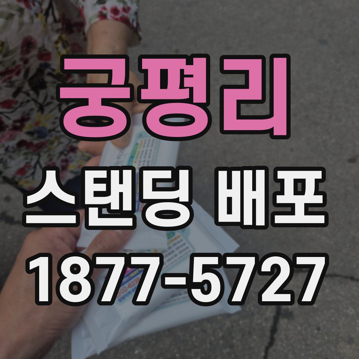 궁평리 스탠딩 배포