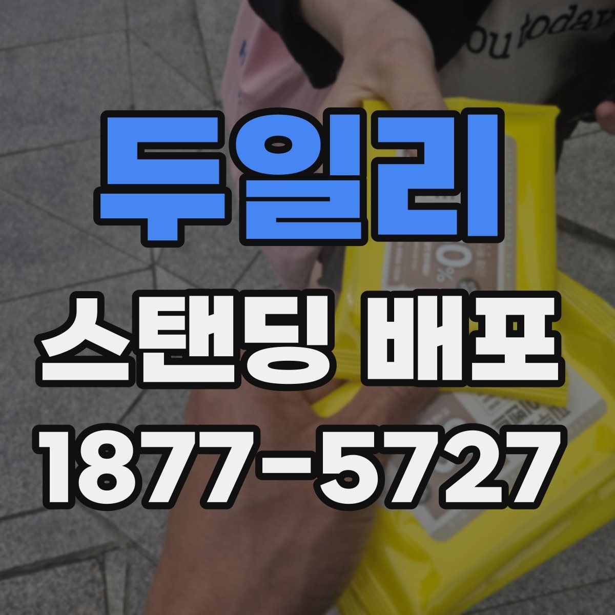 두일리 스탠딩 배포