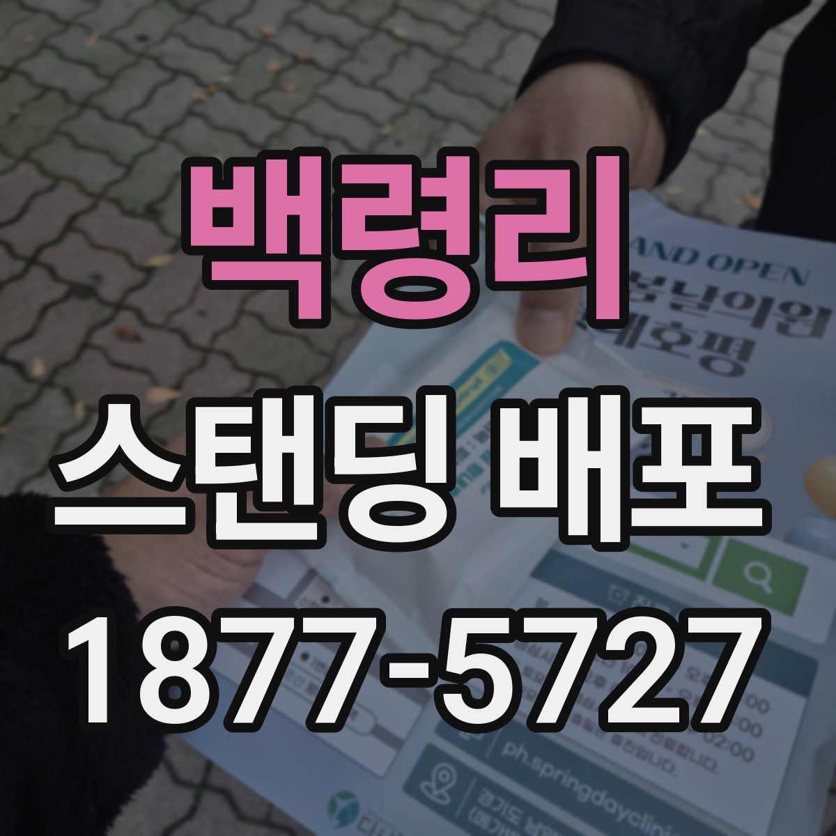 백령리 스탠딩 배포