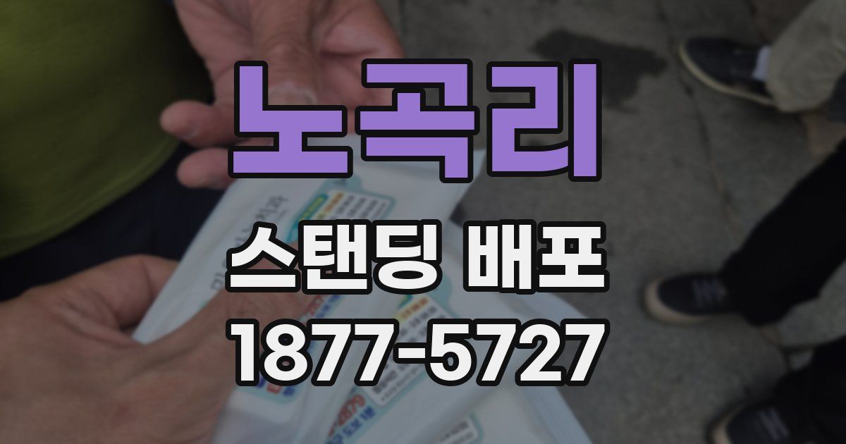 노곡리 스탠딩 배포