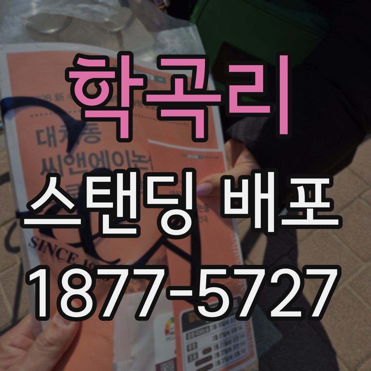 학곡리 스탠딩 배포