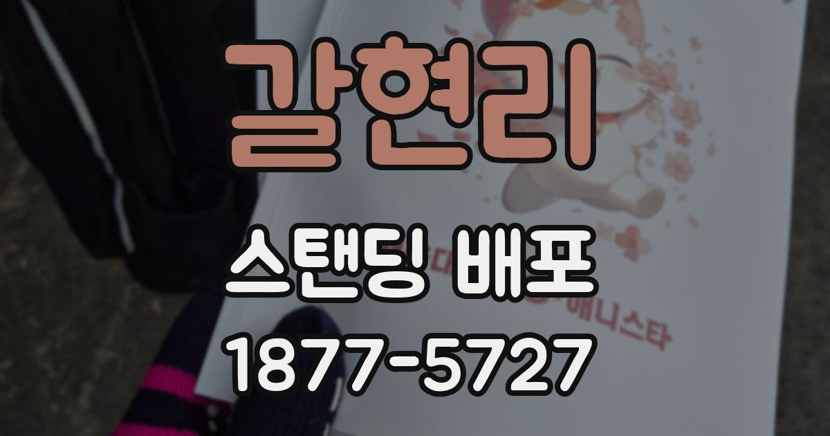 갈현리 스탠딩 배포
